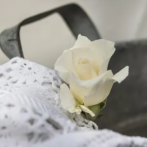 Couette-café Il Giardino Di Ortensia, Bientina